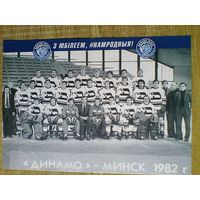 Хоккейный Клуб "Динамо" Минск - Сезона 1982 года - Размеры: 21/29 см.