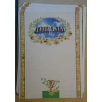 Диплом 60 шт.