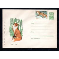Художественный маркированный конверт СССР N 4605 (27.03.1967) Пушные звери СССР  Лисица