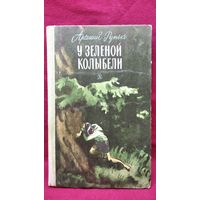 Арсений Рутько. У зеленой колыбели