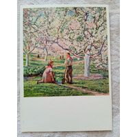 Пионеры, школа. Трохименко. В школьном саду