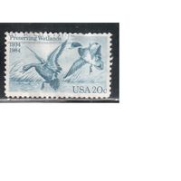 США-1984, (Мих.1707) , гаш.,  Фауна, Птицы, Утки (одиночка),