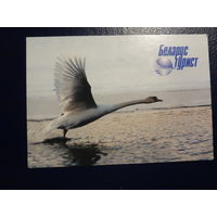 Календарик 2002 г.  Беларустурист.  Лебедь.