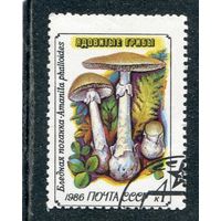 СССР 1986.. Ядовитые грибы. Бледная поганка