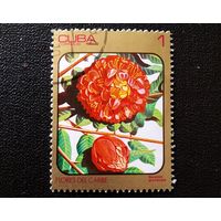 Марка Куба 1984 год Цветы