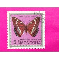 Монголия. Бабочки. ( 1 марка ) 1974 года. 4-8.