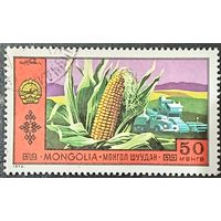 Монголия 1972. Флора. Кукуруза