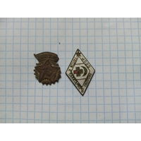 Знак "БГТО" и "ГСО СССР"