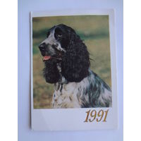 Календарик 1991 г.  Сеттер.