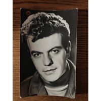 Артисты шалевич