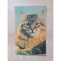 Календарик 1990