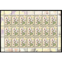 Беларусь. 2008. Стандарт.  Нарцисс (50р) (з.19-2010) Лист
