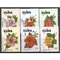 Куба. Тихоокеанские цветы. 1978г. Mi#2256-61. Серия.