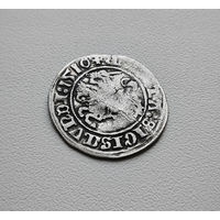 Полугрош 1510 г., Сигизмунд I Старый, Вильно, лот рп-7,7