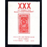 Сувенирный листок 1975 год