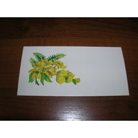 Цветы 1979 год Мини Латвия Рига чистая