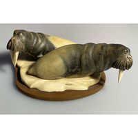 Чукотский сувенир. Моржи