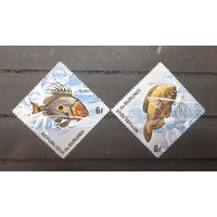 Бурунди. 1974 год. Фауна. Рыбы