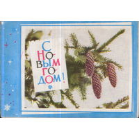 Подписанная открытка 1966г. БССР "С Новым годом! Ветка ели" худ. В. Хоревский