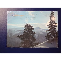 С Новым годом!  1981 г.  Горная страна.  подписанная.