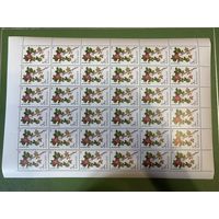 Лист марок СССР роза иглистая 1985 год