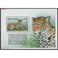 1993. Сьерра Леоне. Леопарды. MNH