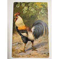 Открытка красивая. Германия. Самое начало 1900-х. (2)