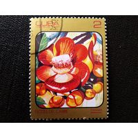 Марка Куба 1984 год Цветы