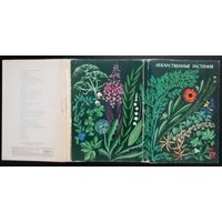 Комплект из 32 больших открыток (полный) Лекарственные растения 1976 Выпуск 1 Шипиленко