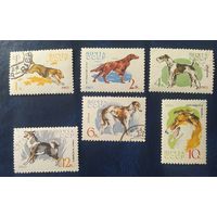 СССР 1965 собаки 6 из 8.