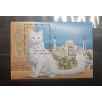 Гайана. Фауна. Кошки. Турецкая ангора. Блок (746)