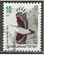 Израиль. Птицы. Краснокрылый скалолаз. 1992г. Mi#1248.