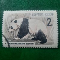 СССР 1964. Фауна. Панда. Марка из серии