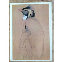 Ватагин В. Пингвин. 1978 г. Чистая.