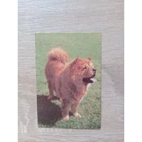 Календарик 1993