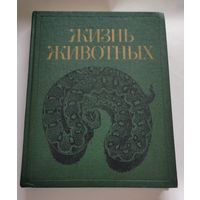 Мир животных  том 5 энциклопедия 1985 год