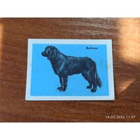 Спичечная этикетка Водолаз