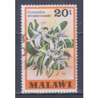 [858] Малави 1979. Флора.Цветы.Орхидея. Гашеная марка.