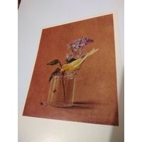 Открытка 1976г. Чистая. Художник Ф. П. Толстой. Ветка сирени и канарейка.