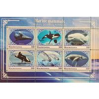 Мавритания 2018. Киты и дельфины. Малый лист