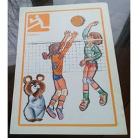 Волейбол Олимпийский медведь