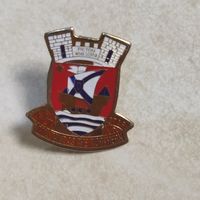 Фрачный знак. г. Пикту. Новая Шотландия. Канада. Геральдика.