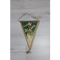 Вымпел, Zalgiris.