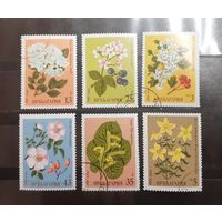 Болгария. 1981 год. Флора. Цветы (289)