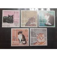 Лаос. 1989 год. Фауна. Кошки (747)