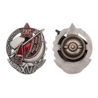 Копия Знак Почётный работник РКМ 15 лет