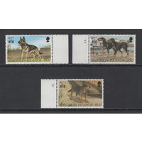 Фауна Собаки Соломоновы Острова 1994** Домашние животные