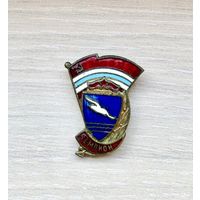 Лот с 1 рубля. Знак ДСО Буревестник.Чемпион, СССР