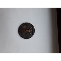 Медаль ЦС ДСО Труд За успехи в развитии физкультуры спорт 45 мм