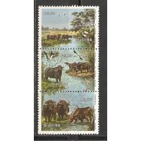 ФФ2 Бразилия 1984 Буйволы